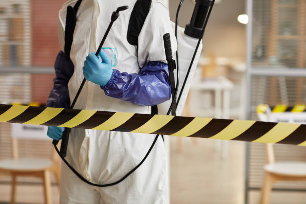 Professional Biohazard technician working in Carson, WA